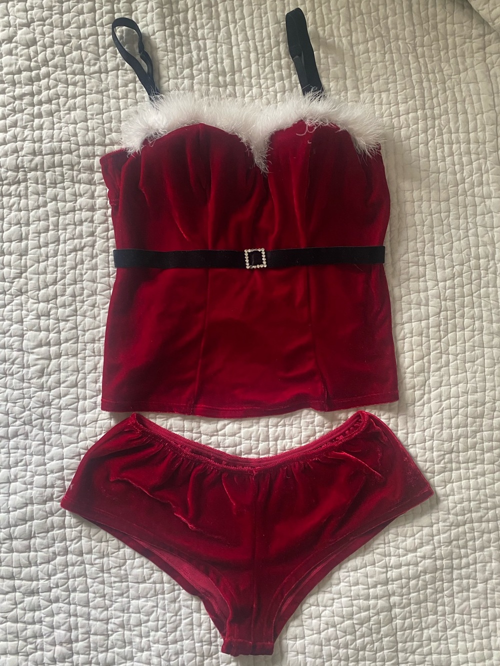 Red Velvet Holiday Bustier & Brief Set